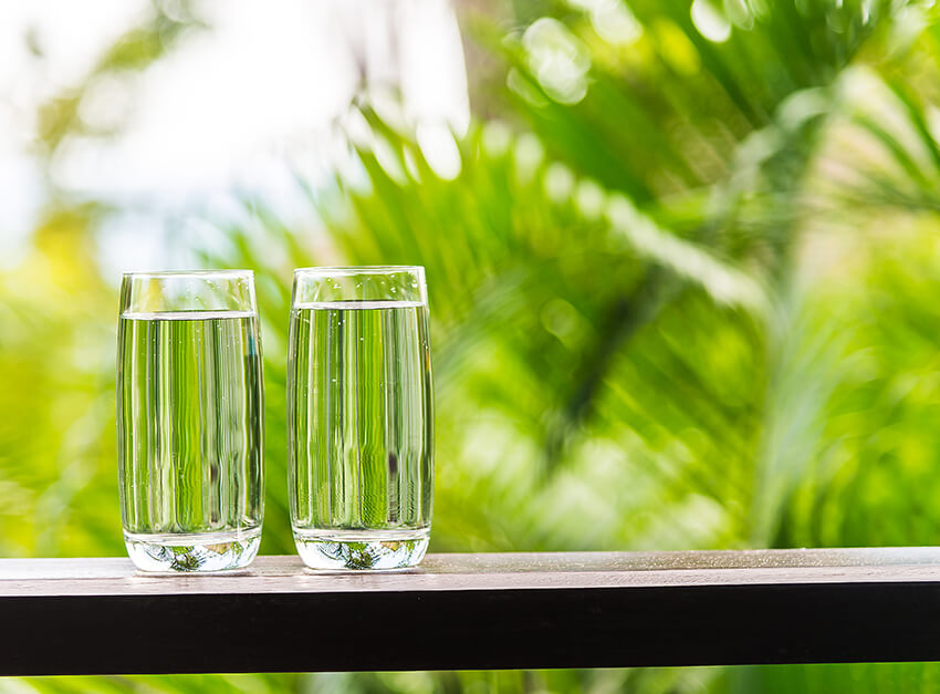 Alondra Alvarez Nutriologa